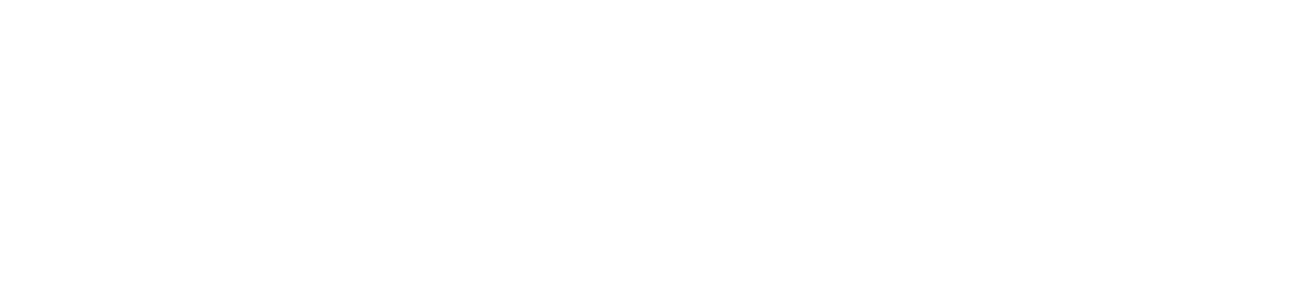 Meet the Team